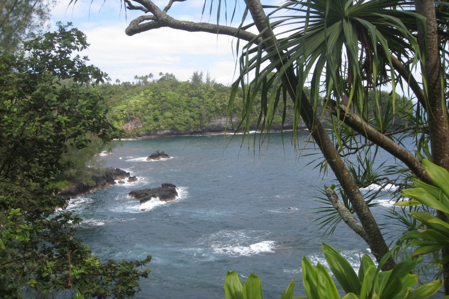 ../image/onomea bay - hilo scenic drive 3.jpg